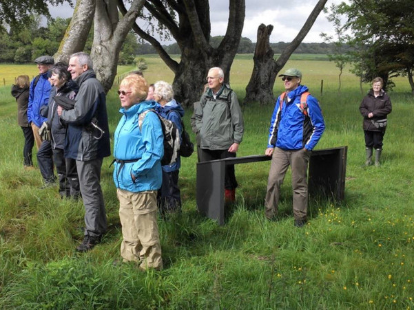 Groupof walkers dressed for the rain in the Stonehenge landscape on a tour with David Dawson